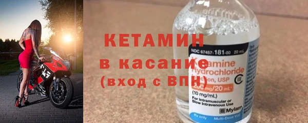индика Кулебаки