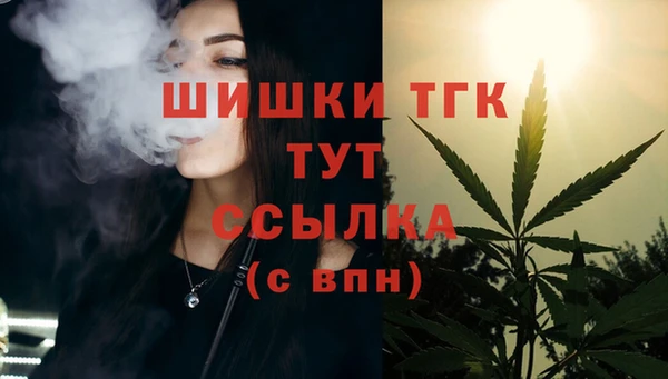 mix Богородицк