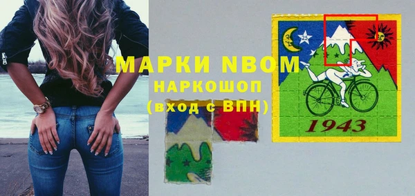 mix Богородицк